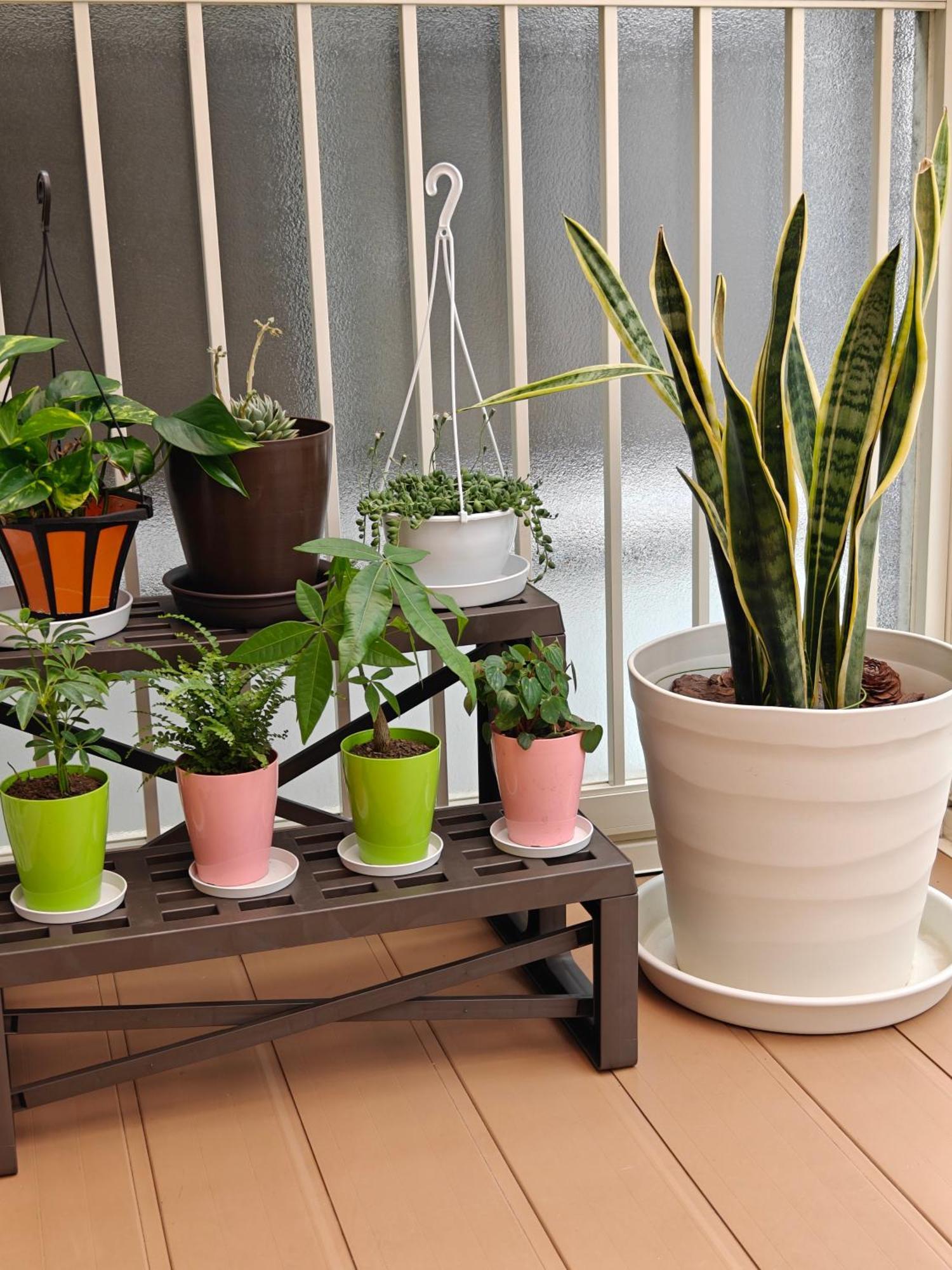Apartamento Sunshine House
